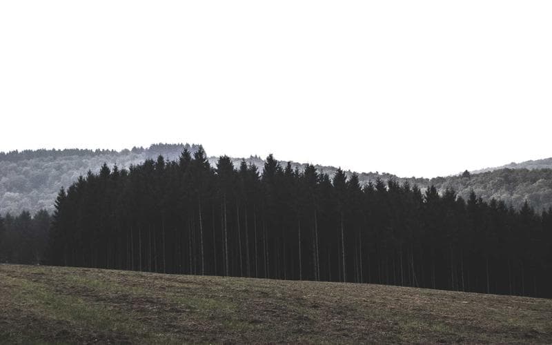 Burnout Recovery Circle