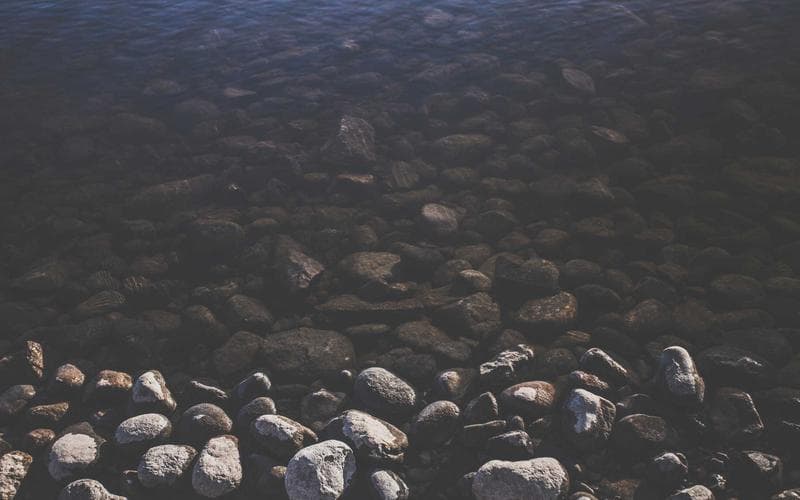 Conscious Sexuality: Embodied Intimacy
