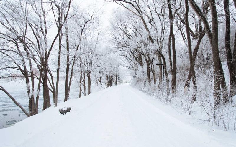 Breathwork for the Anxious Mind