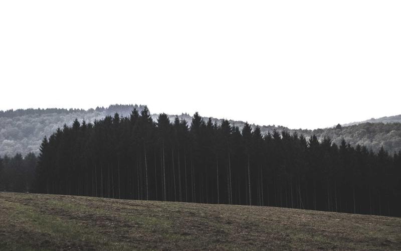 Burnout Recovery Circle