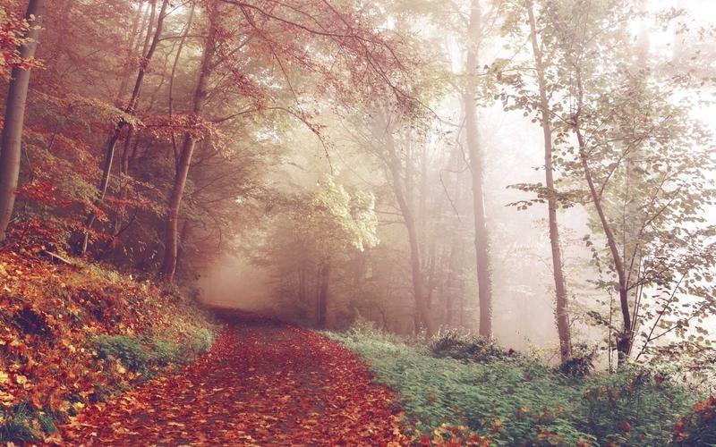 Holotropic Breathwork Weekend