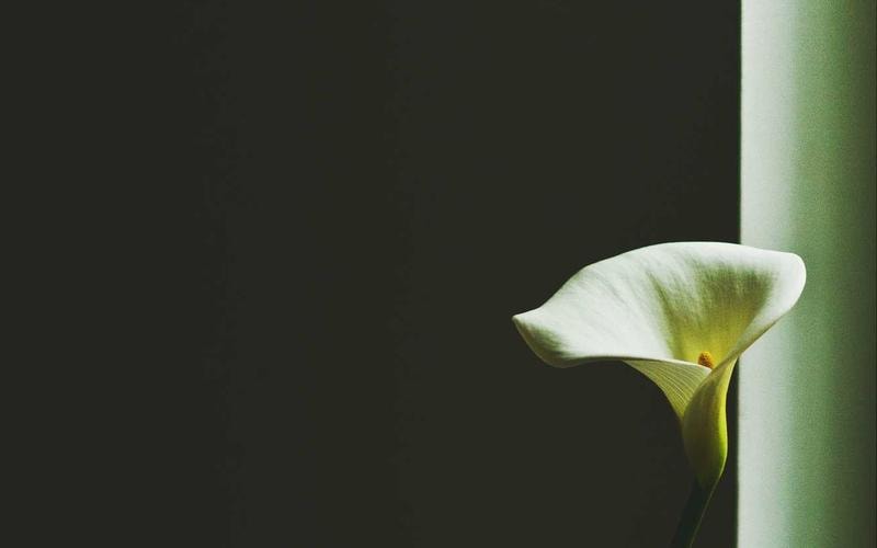 Ubuntu Circle: I Am Because We Are