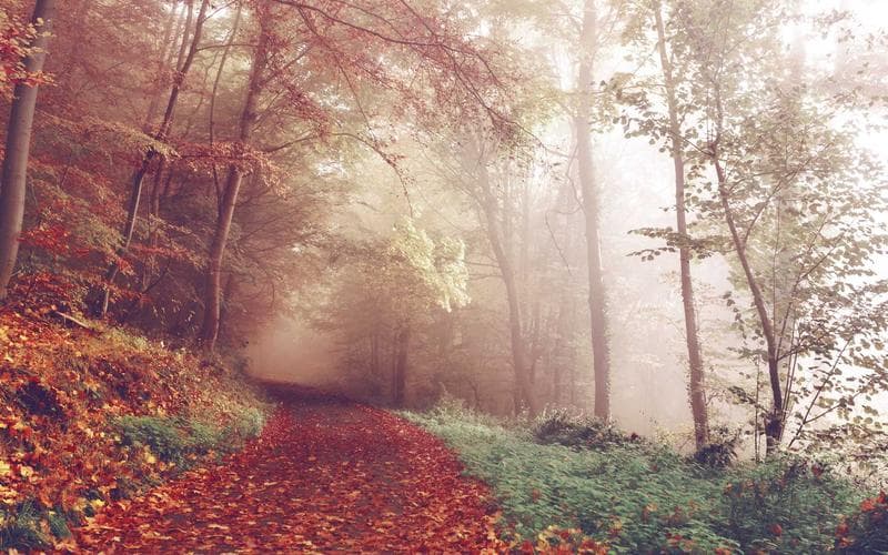 Holotropic Breathwork Weekend